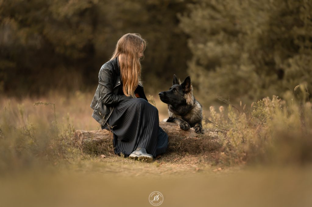 photo complice d'un chien et son humain perpignan