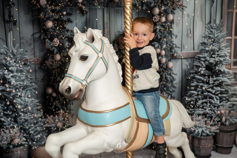 cheval de carroussel photo fourques