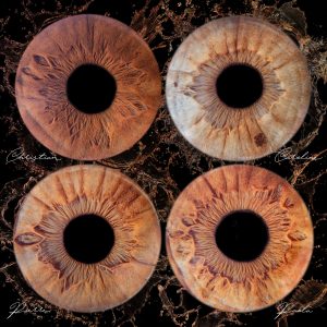 photographe abordable pour faire des photos d'iris 66