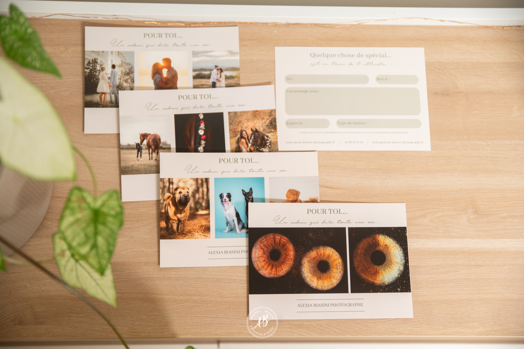 carte cadeau pour noel perpignan