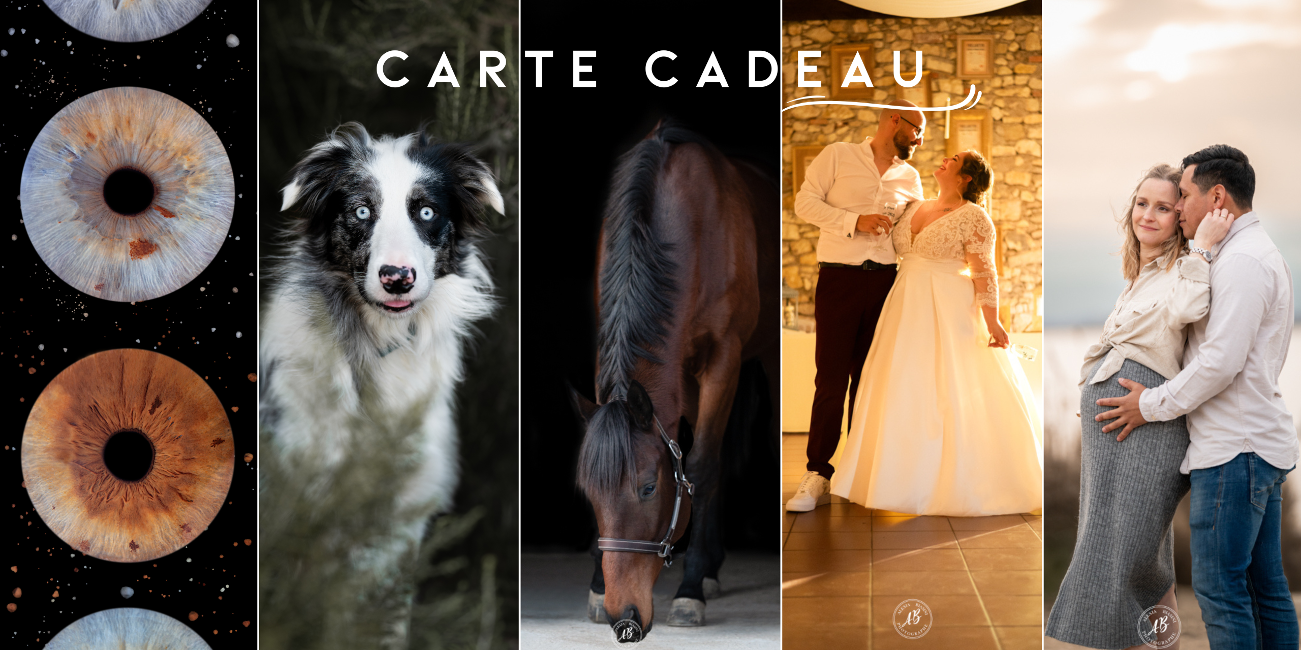 idée de cadeau pour noel sur perpignan et alentours