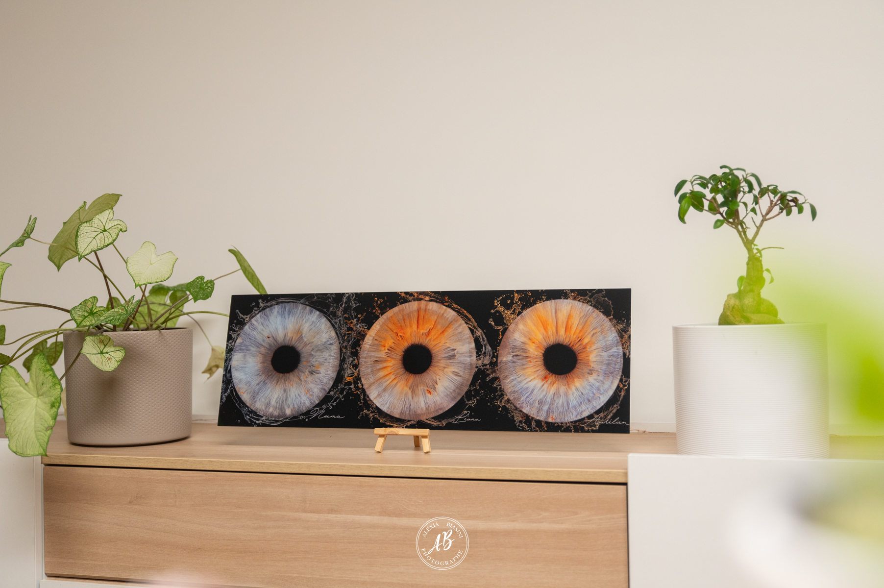 tableau de qualité, brillant pour mettre en avant les iris