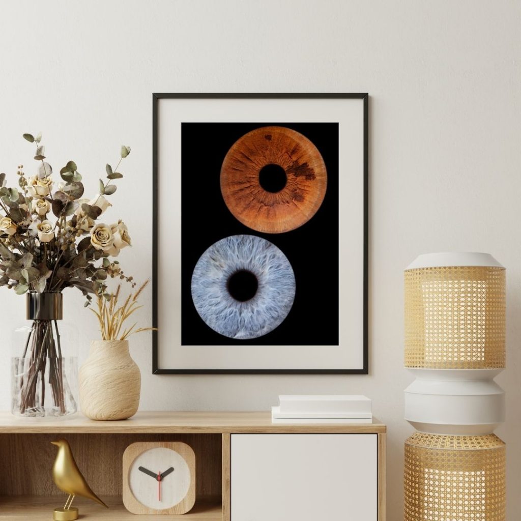 exemple de tableau d'iris accroché au salon