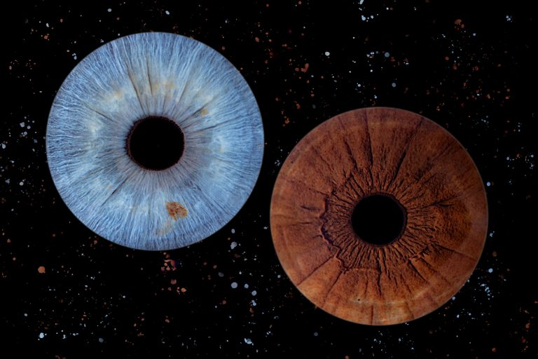 Effet graphique FLOCON