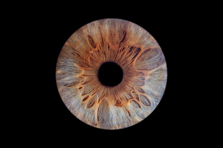 Iris sur fond noir simple