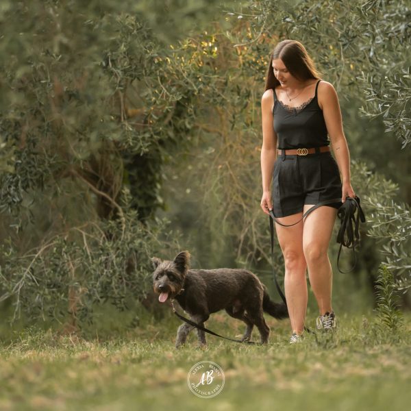 chien_perpignan_evenement